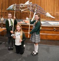 The HERDS art project